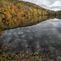 Exploring Nature in Bergen County: Parks and Preserves