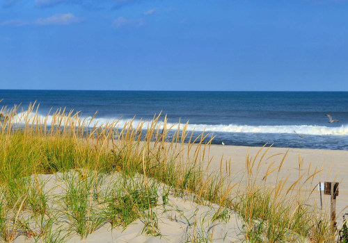 Exploring the Beaches and Waterfront Areas of Bergen County